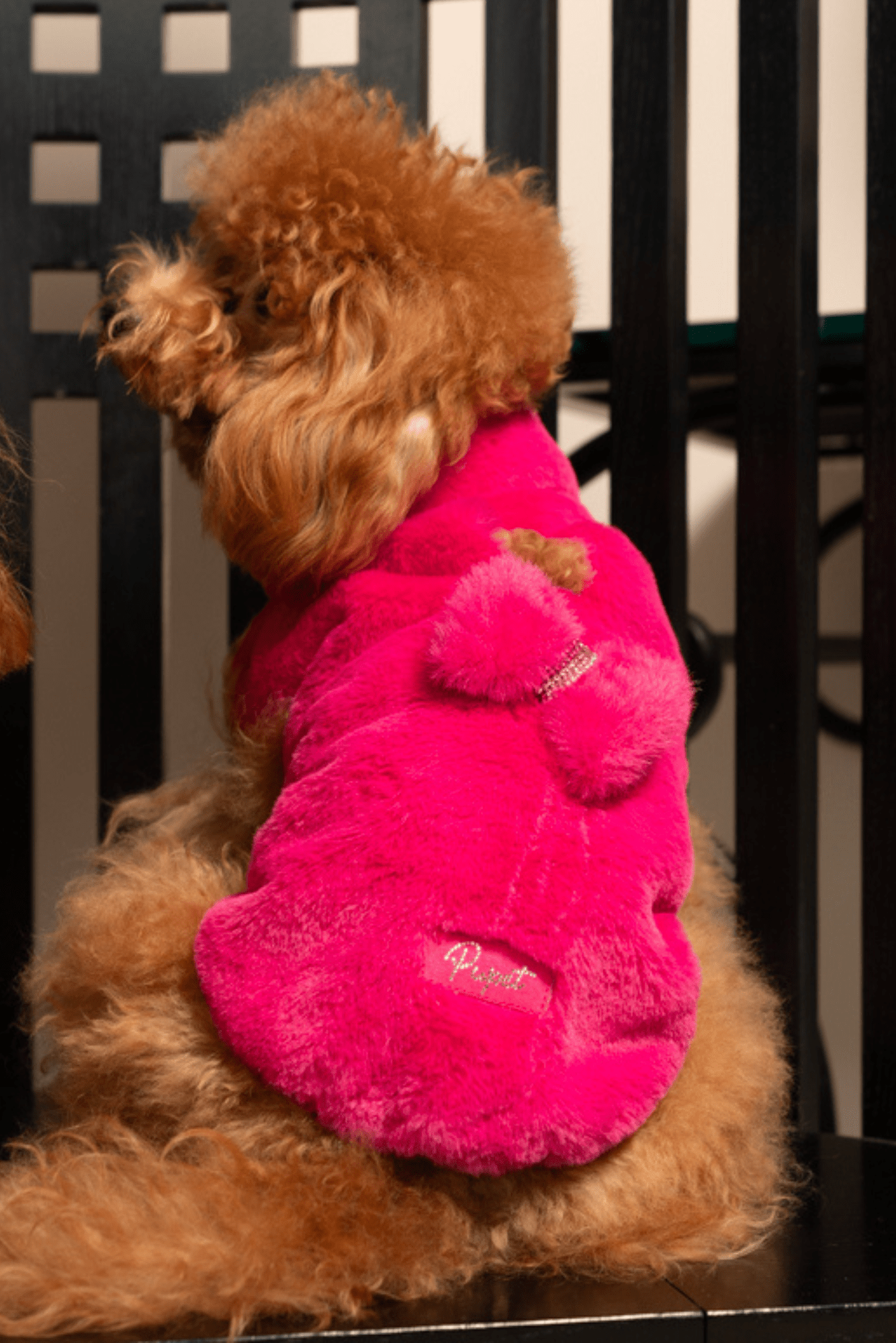 FUR FOR DOGS WITH JEWEL BOW