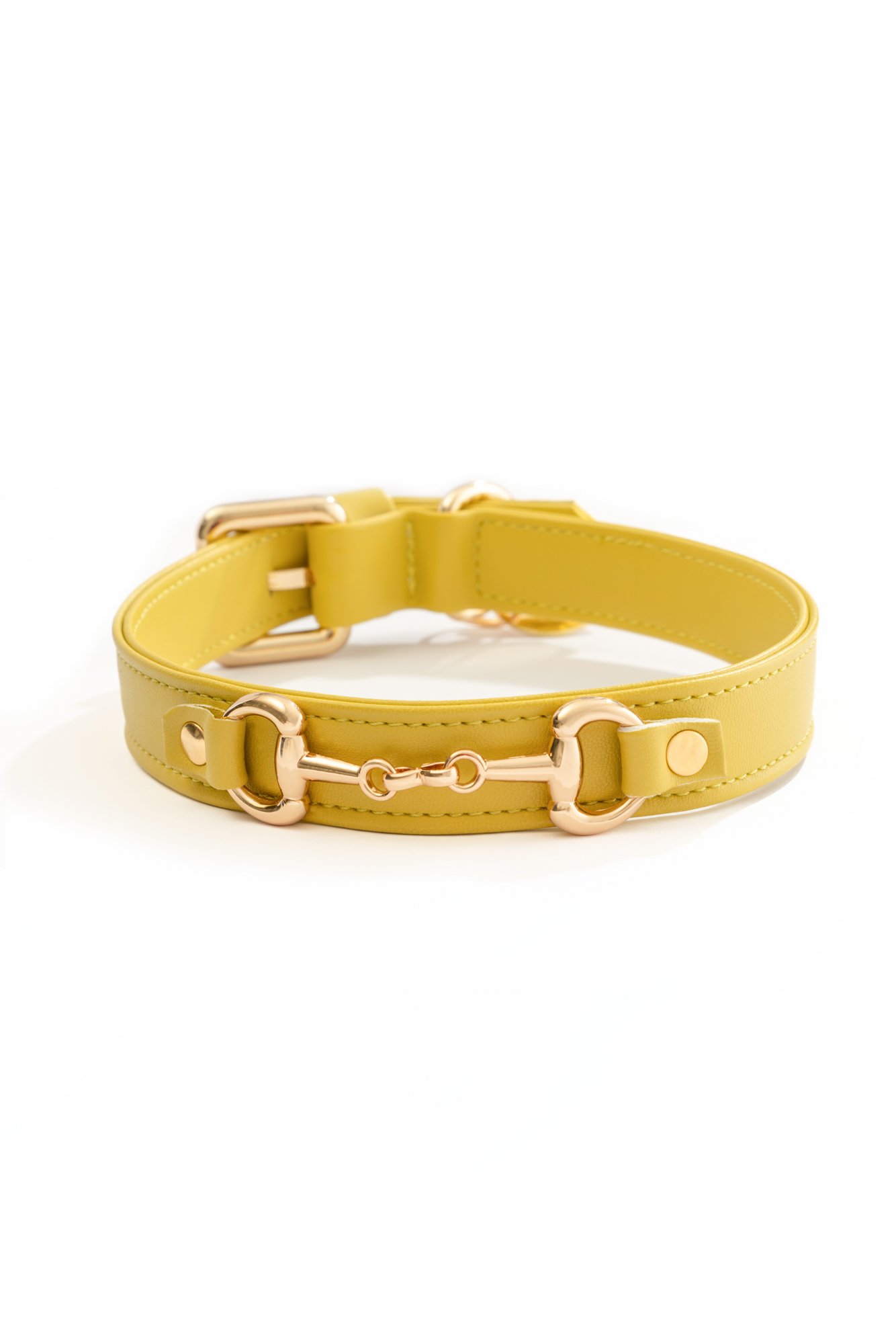 LEATHERETTE COLLAR WITH GOLDEN CLAMP