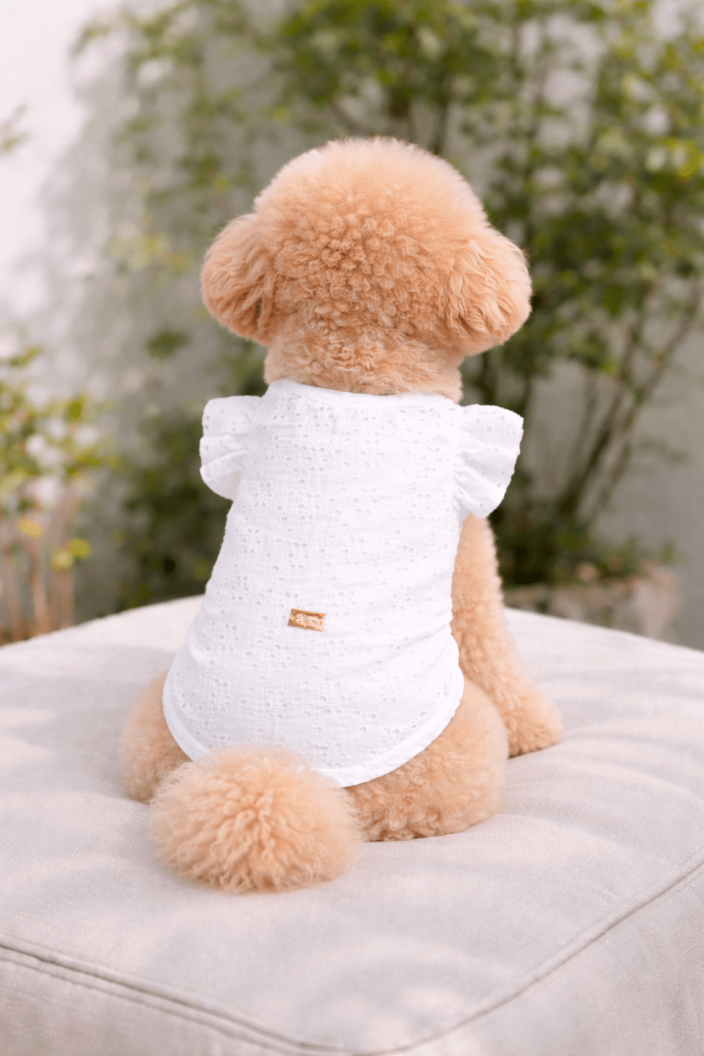 T-SHIRT “LILLI” IN BRODERIE ANGLAISE