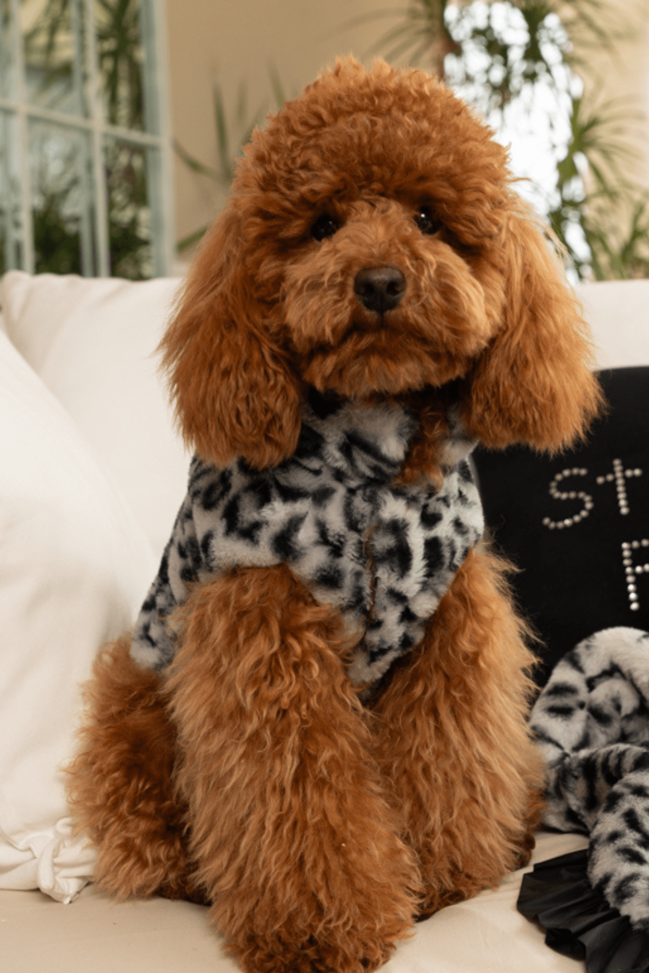 SPOTTED FUR