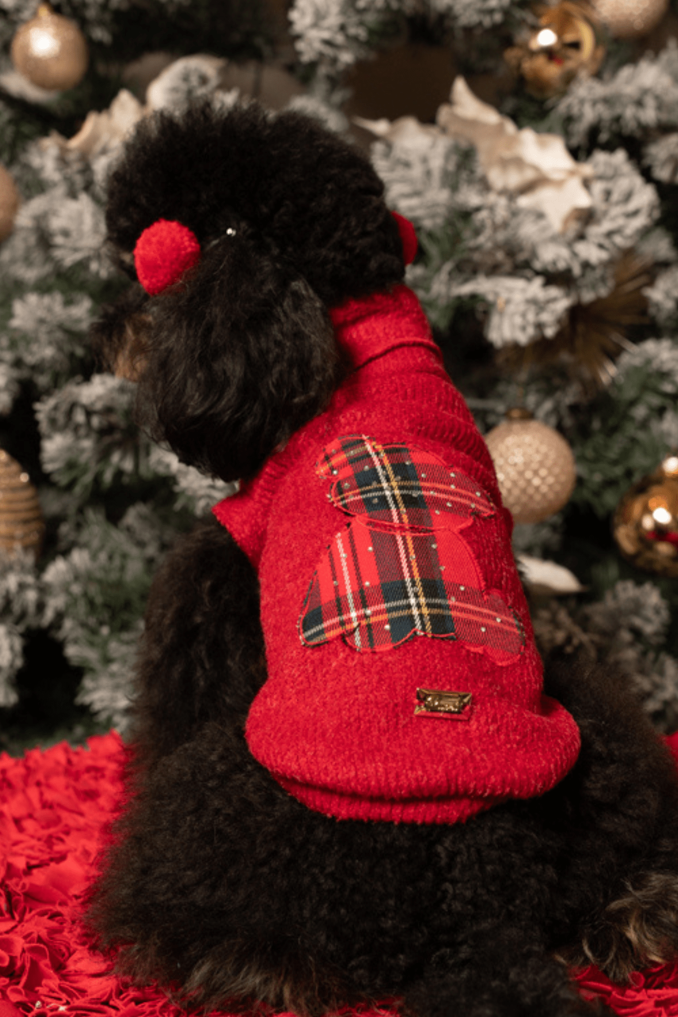 SWEATER WITH SCOTTISH RED TEDDY BEAR