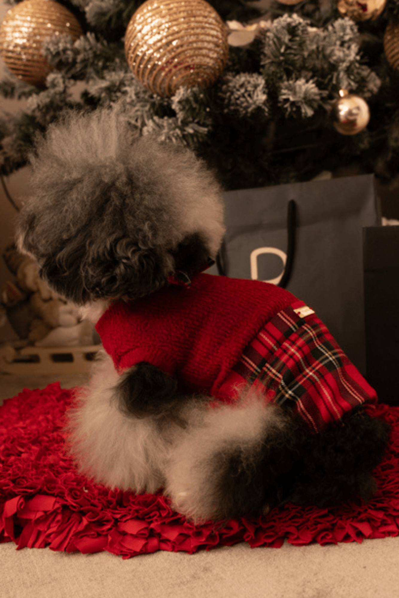 MAGLIONCINO SCOTTISH RED CON PAPILLON