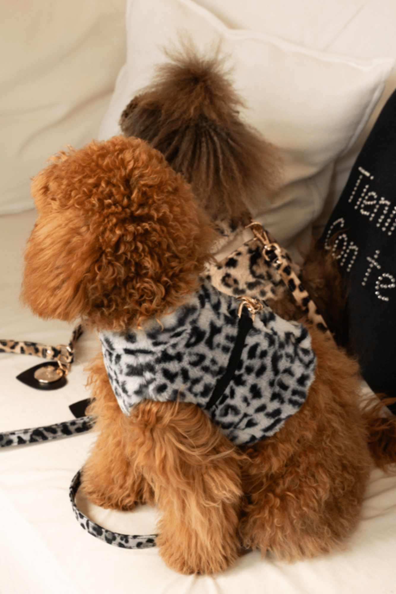 SPOTTED FUR WAISCOAT HARNESS