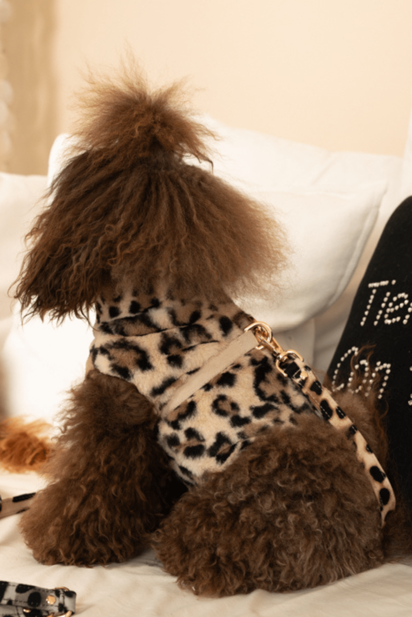 SPOTTED FUR WAISCOAT HARNESS