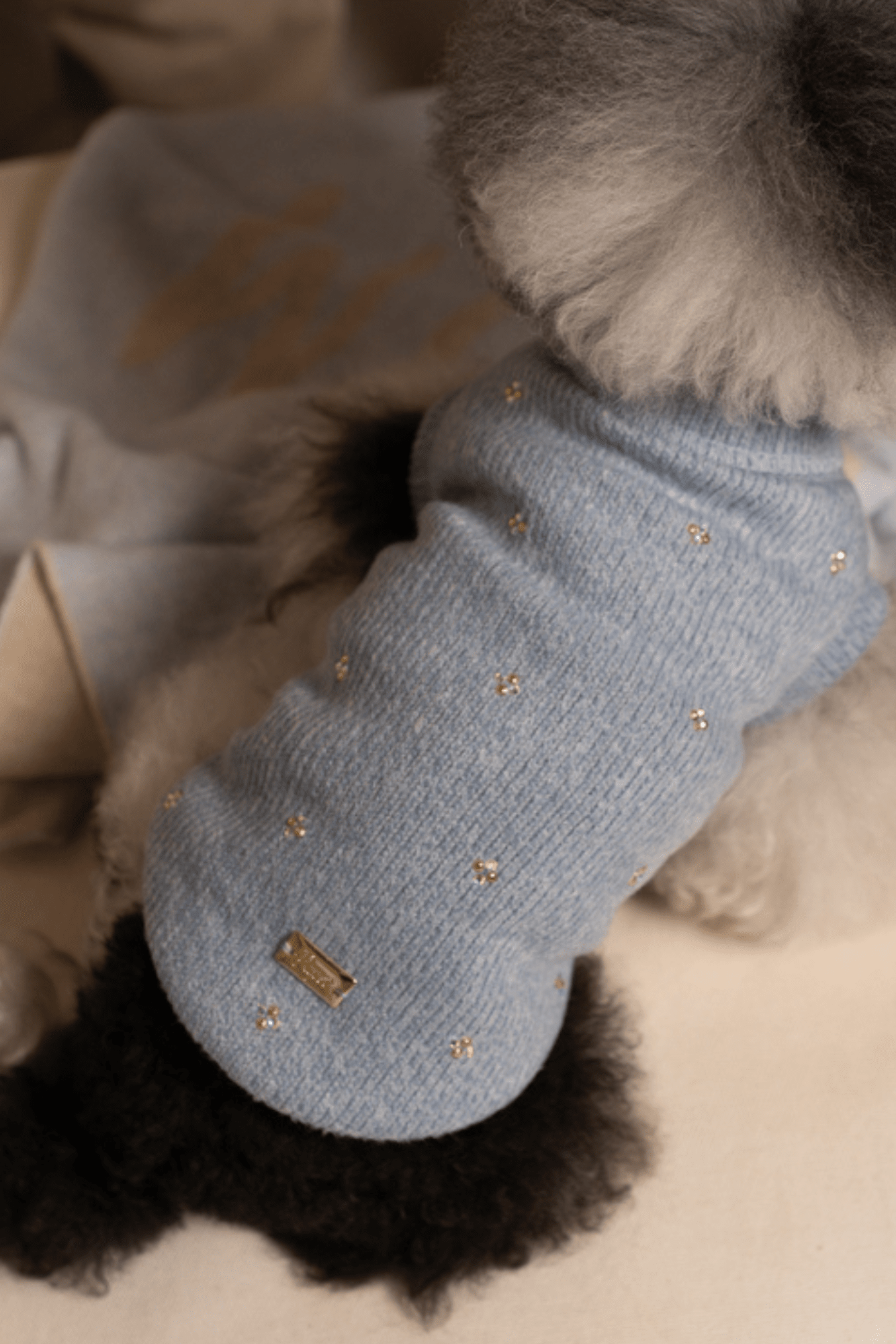 MAGLIONCINO CON FIORELLINI BRILLANTI