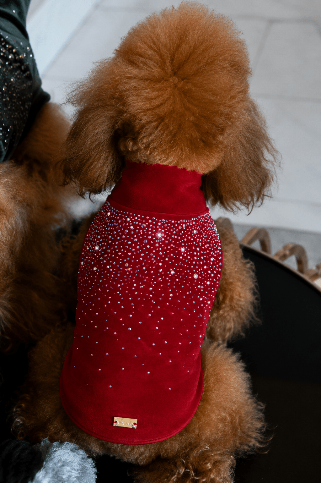 CHENILLE SWEATER WITH SWAROSKY