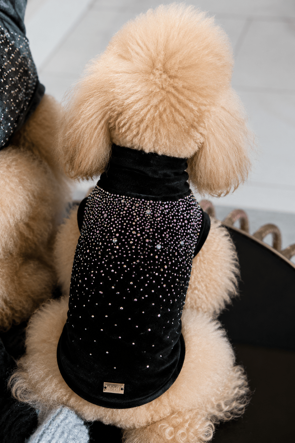 CHENILLE SWEATER WITH SWAROSKY