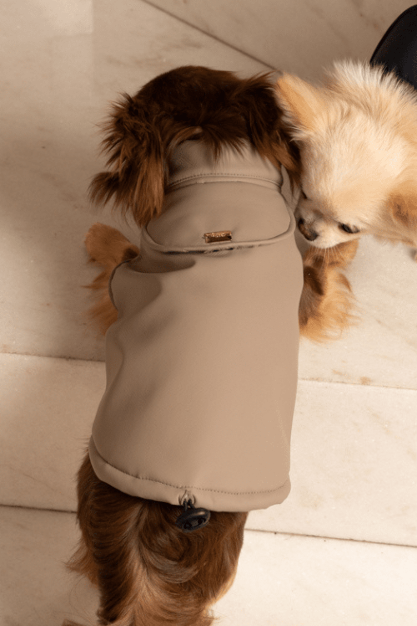 RAINCOAT