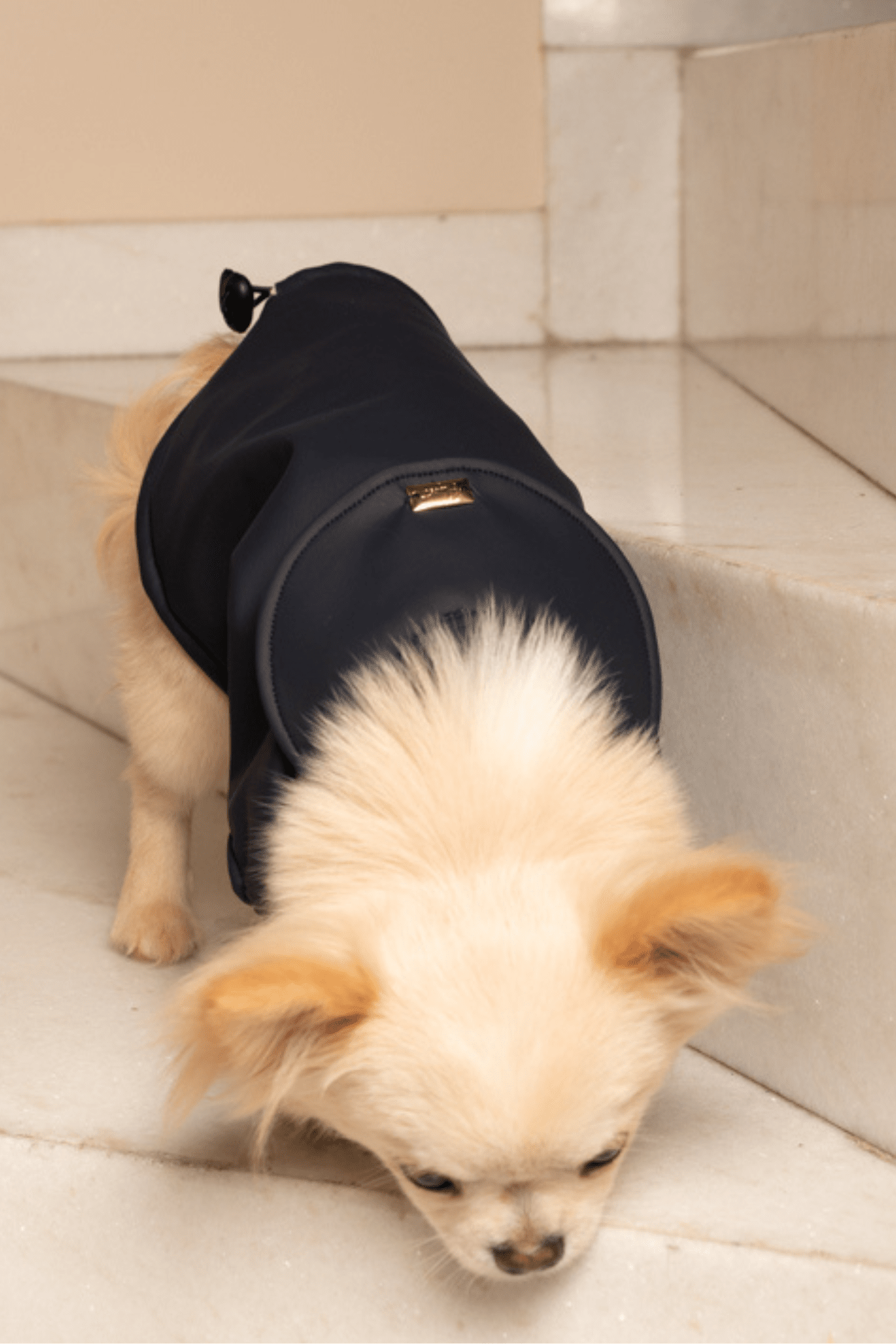 RAINCOAT