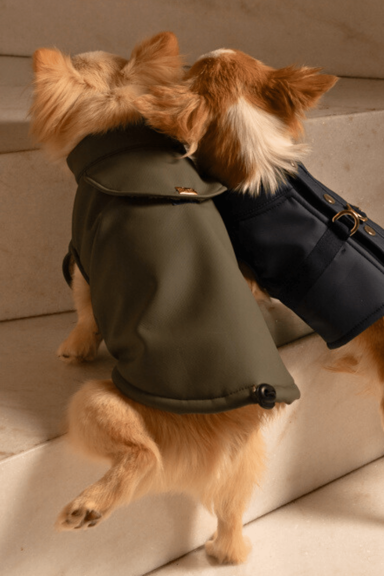 RAINCOAT
