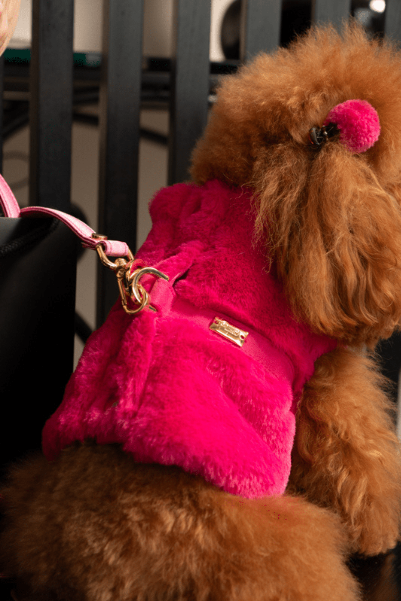 PETTORINA GILET PELLICCIOTTO