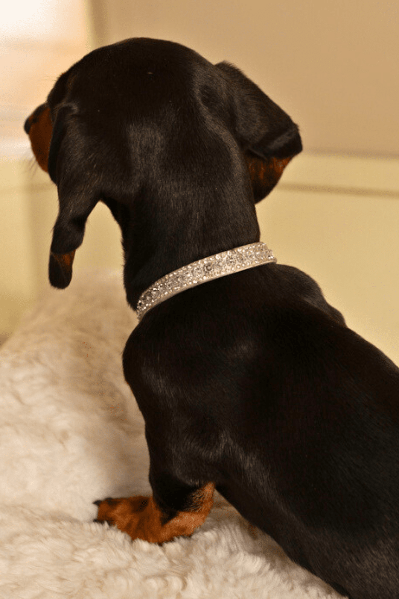 COLLARE DIAMOND
