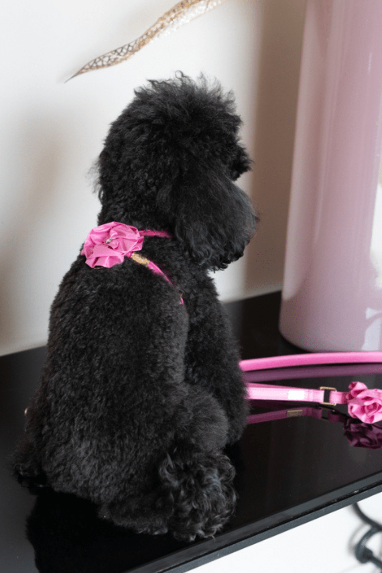 FLOWER HARNESS