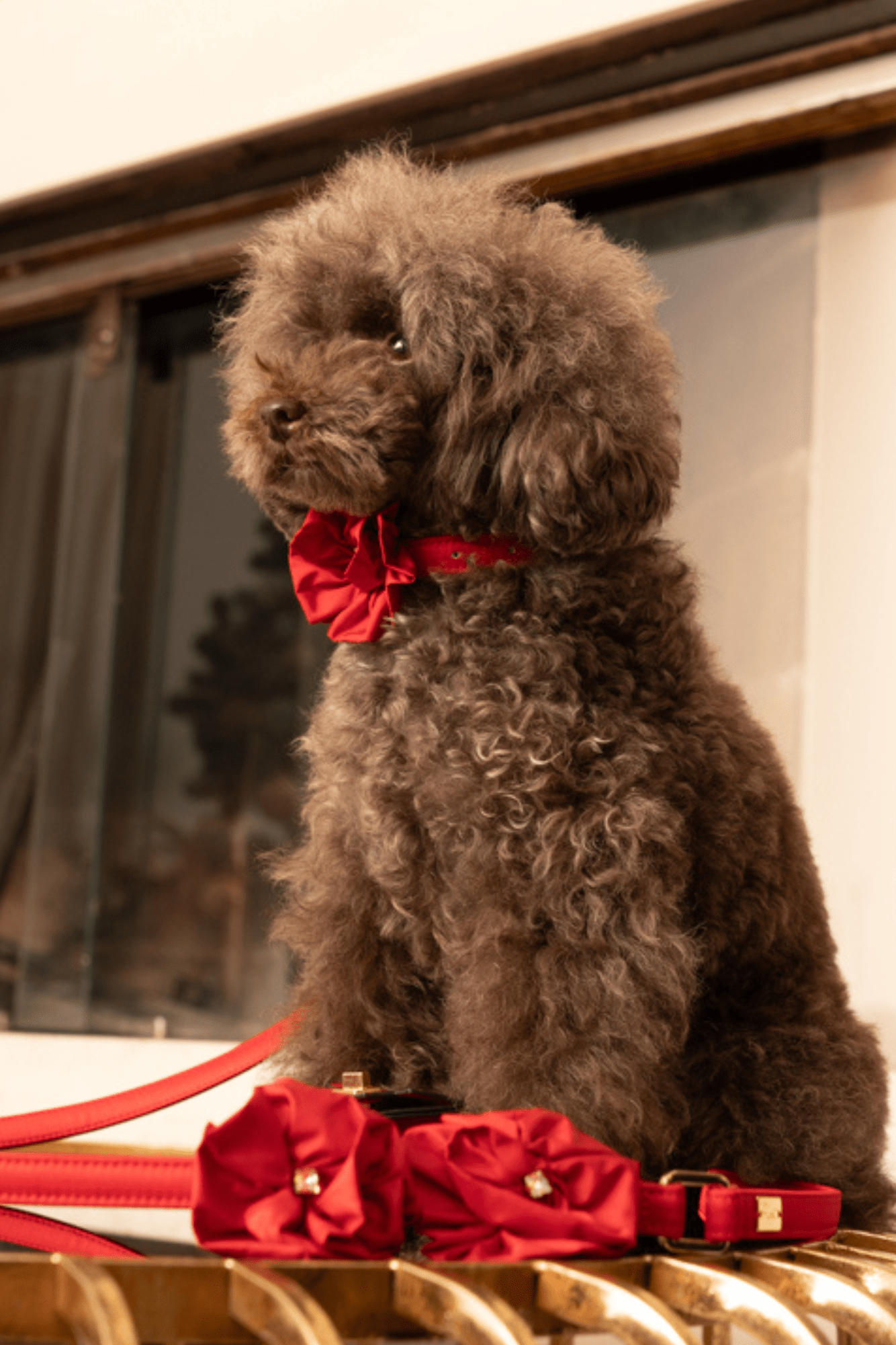 FLOWER LEASH