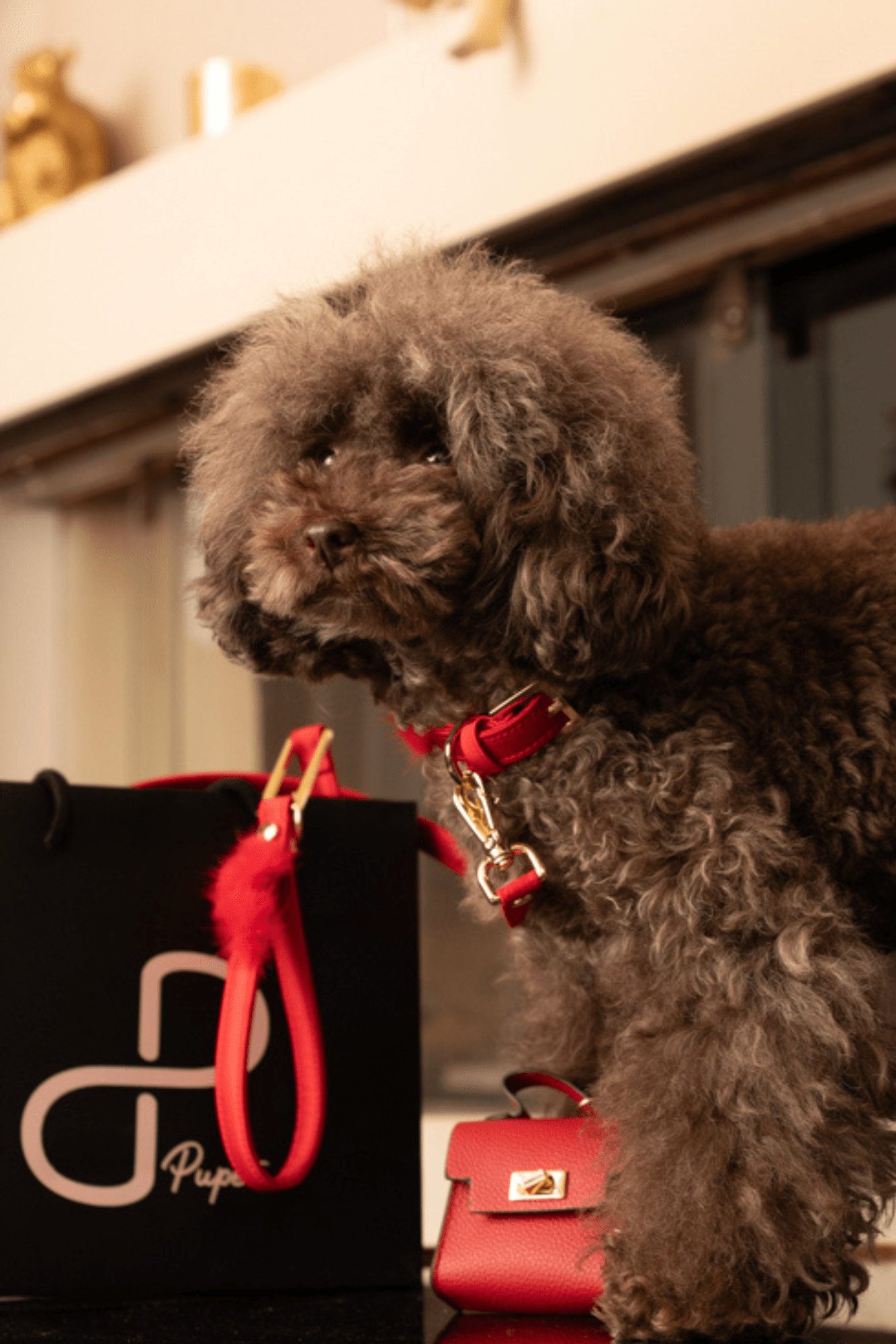PON PON LEASH