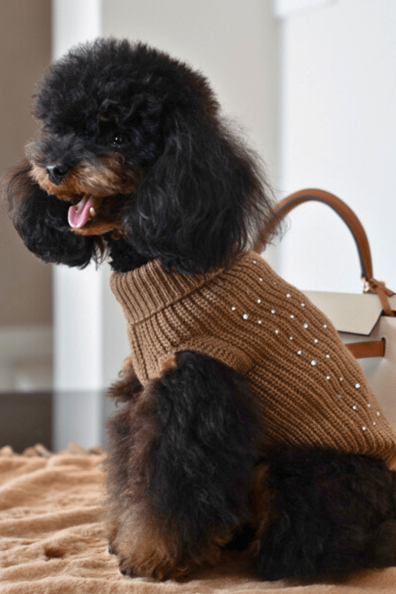 MAGLIONCINO STRASS BRILLANTI