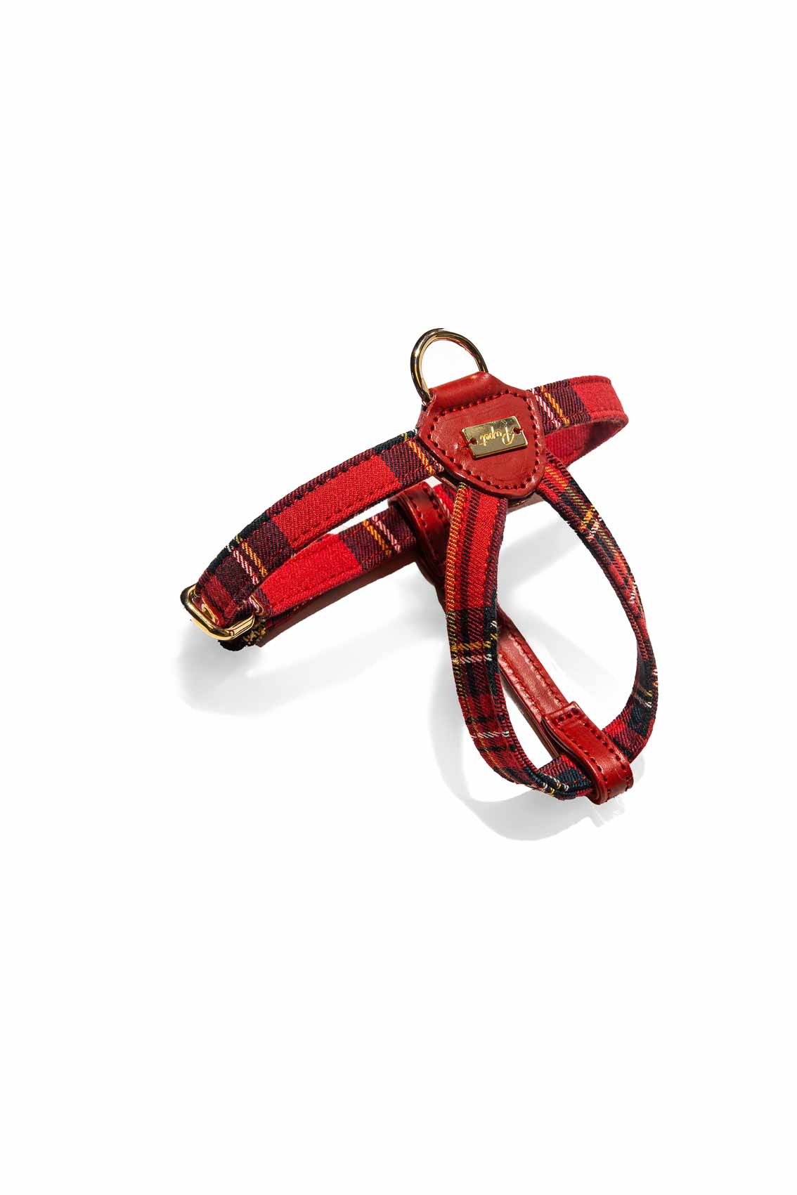 PETTORINA SCOTTISH RED