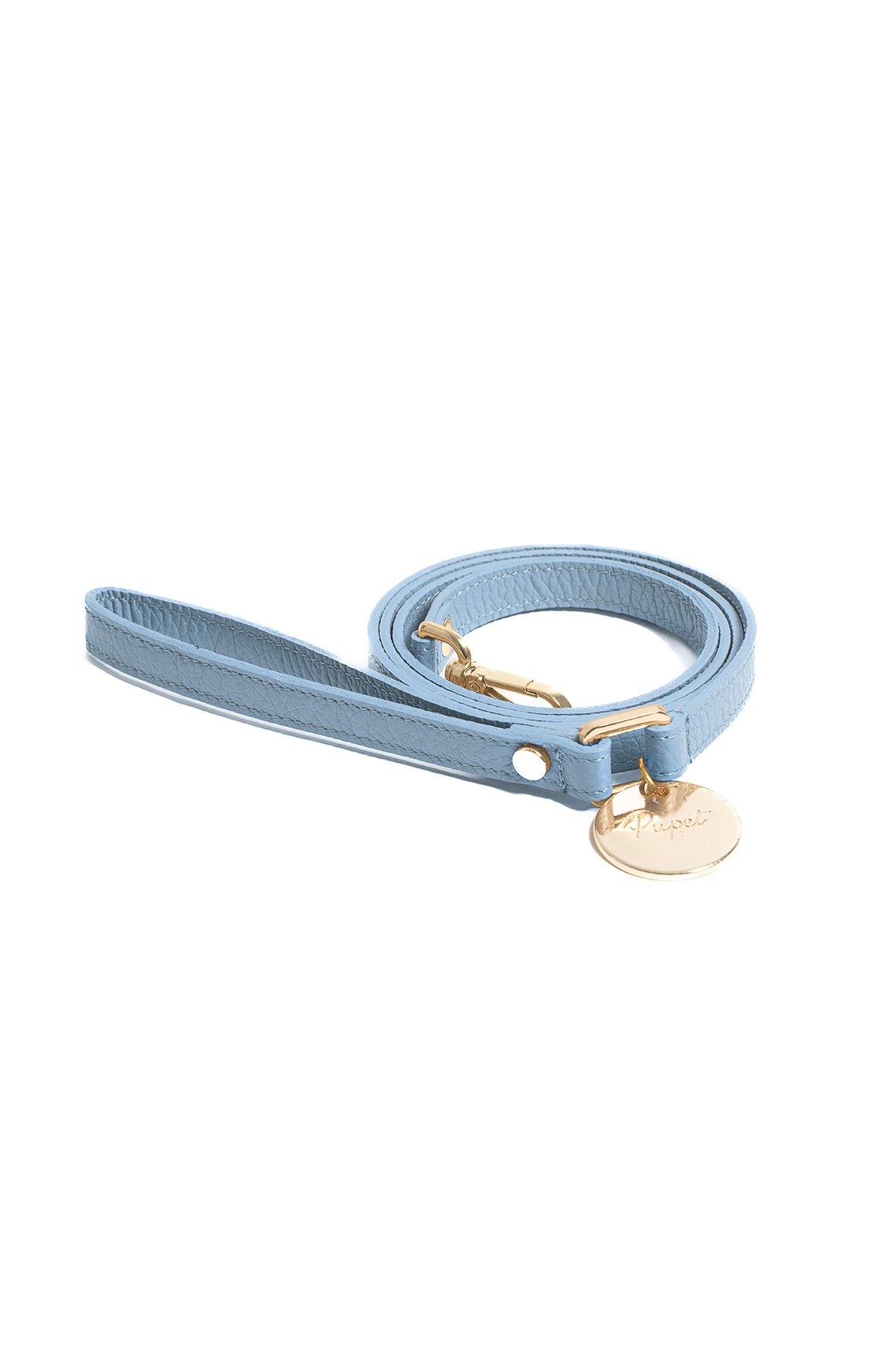LEATHER LEASH