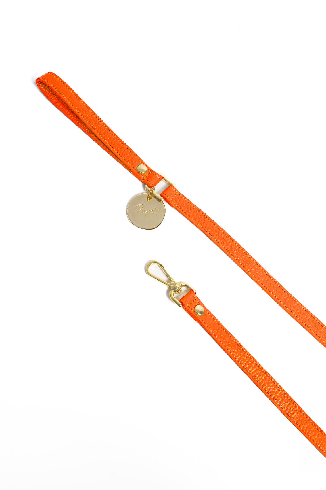 LEATHER LEASH