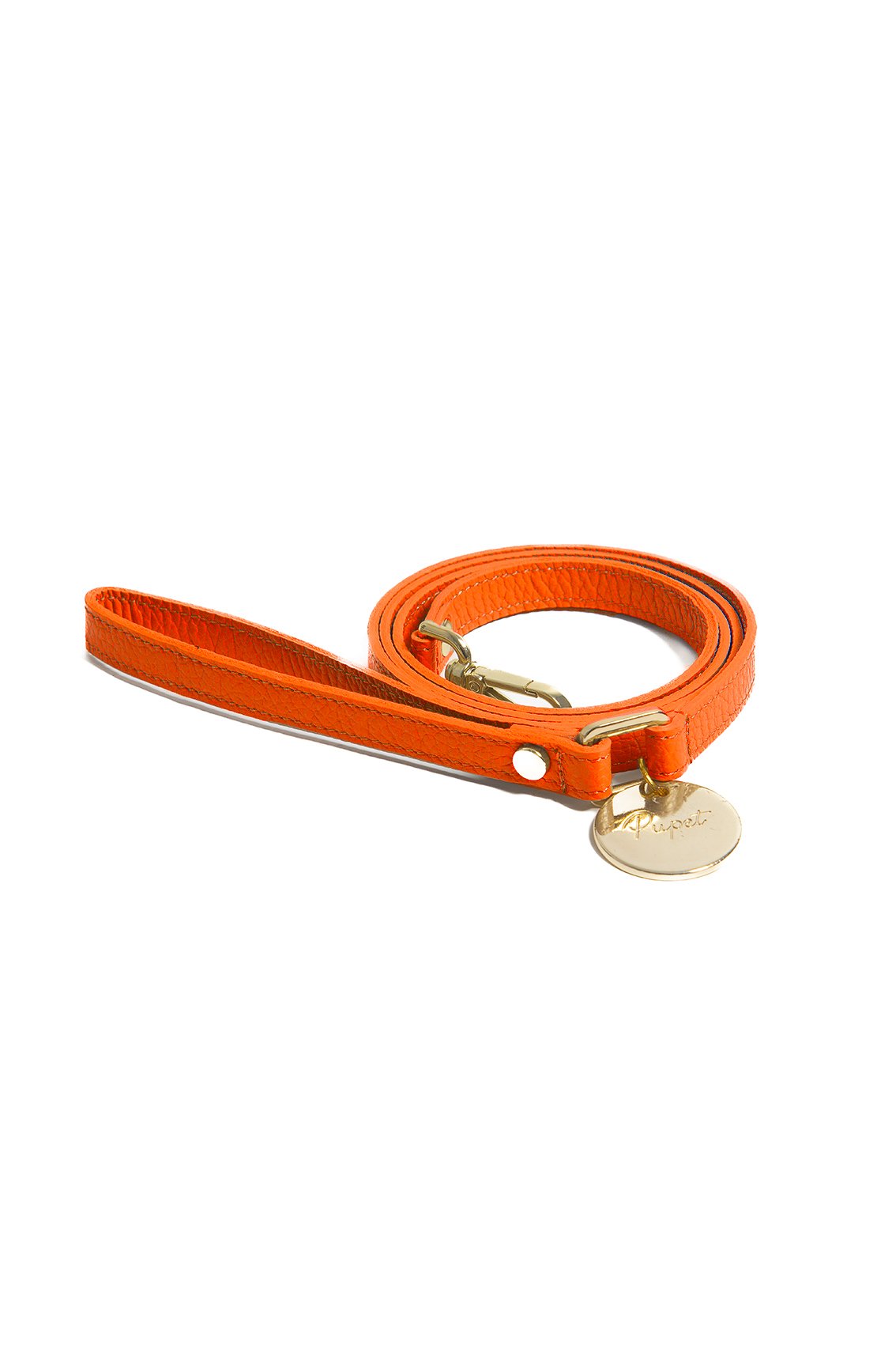 LEATHER LEASH