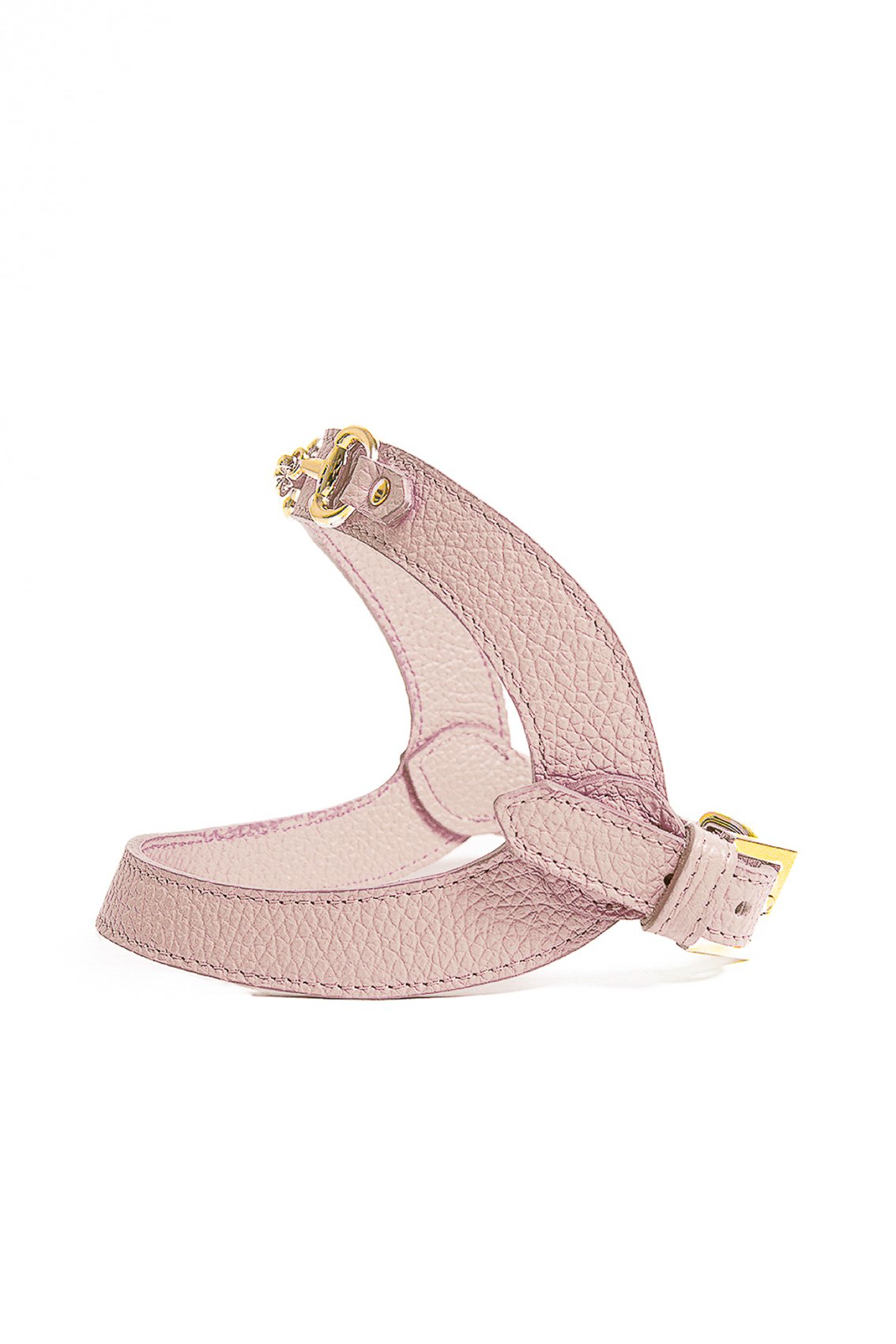 LEATHER HARNESS WITH GOLD CLAMP