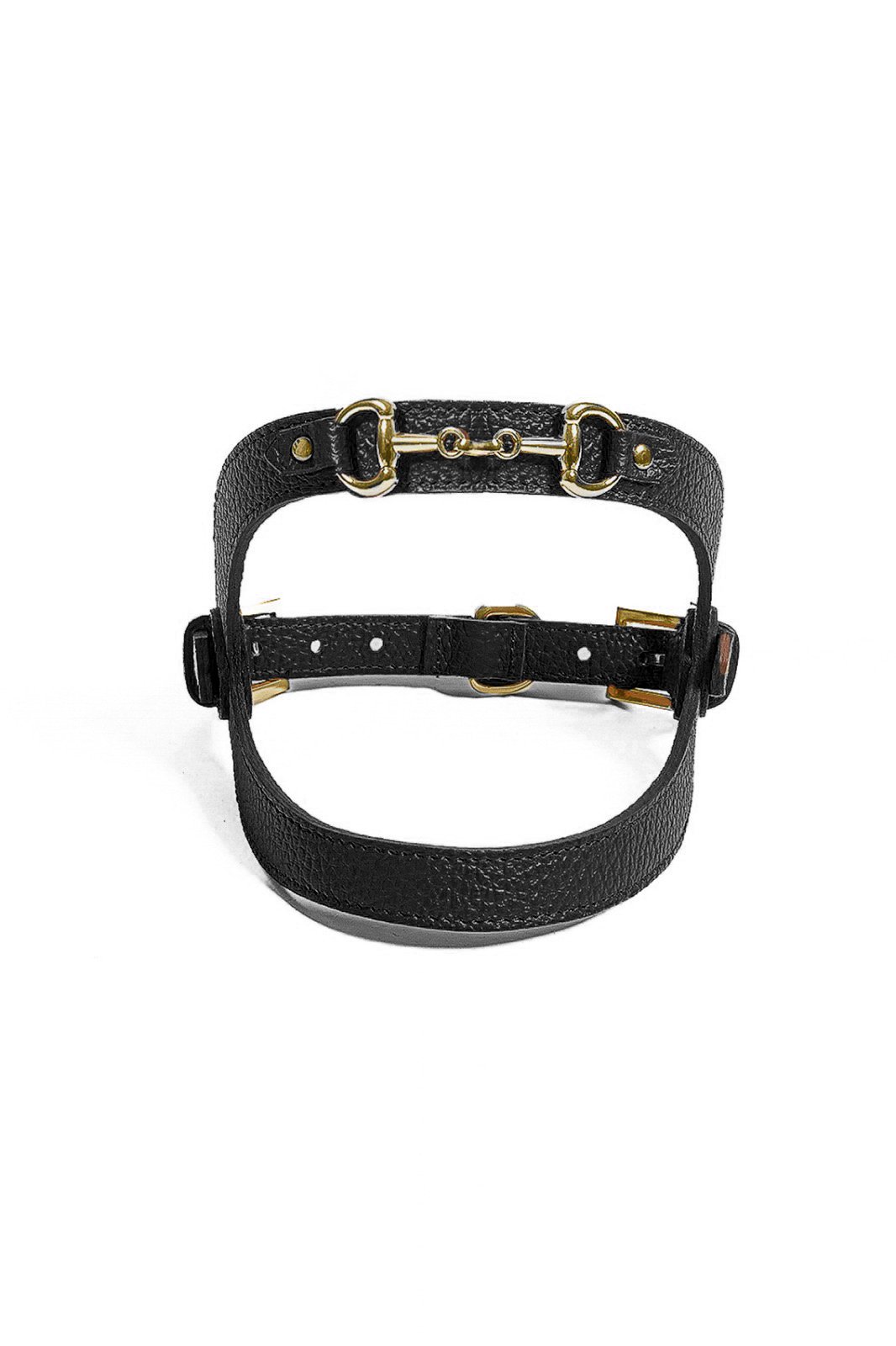 LEATHER HARNESS WITH GOLD CLAMP