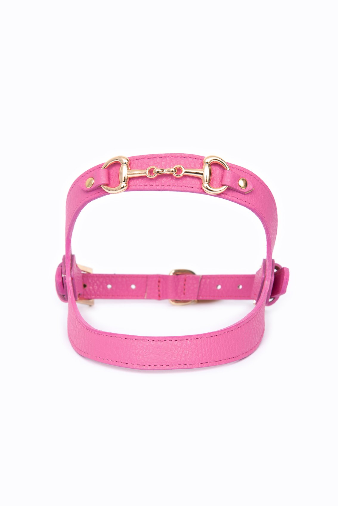 LEATHER HARNESS WITH GOLD CLAMP