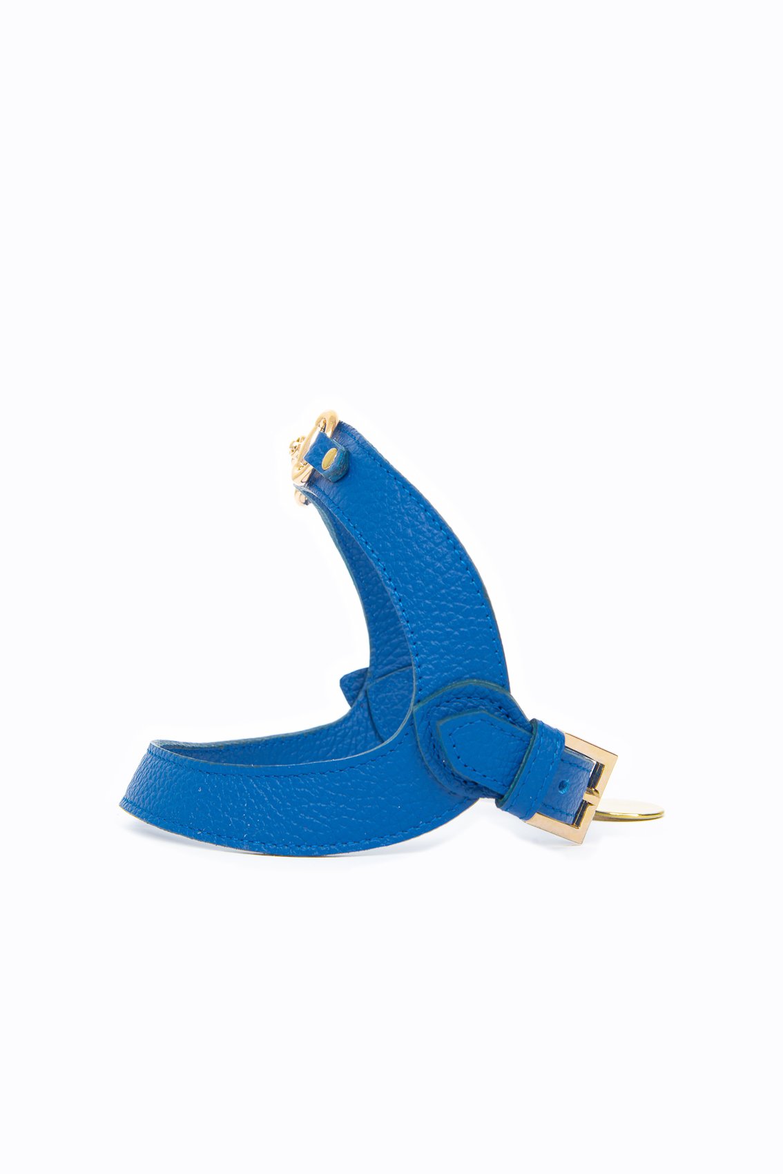 LEATHER HARNESS WITH GOLD CLAMP