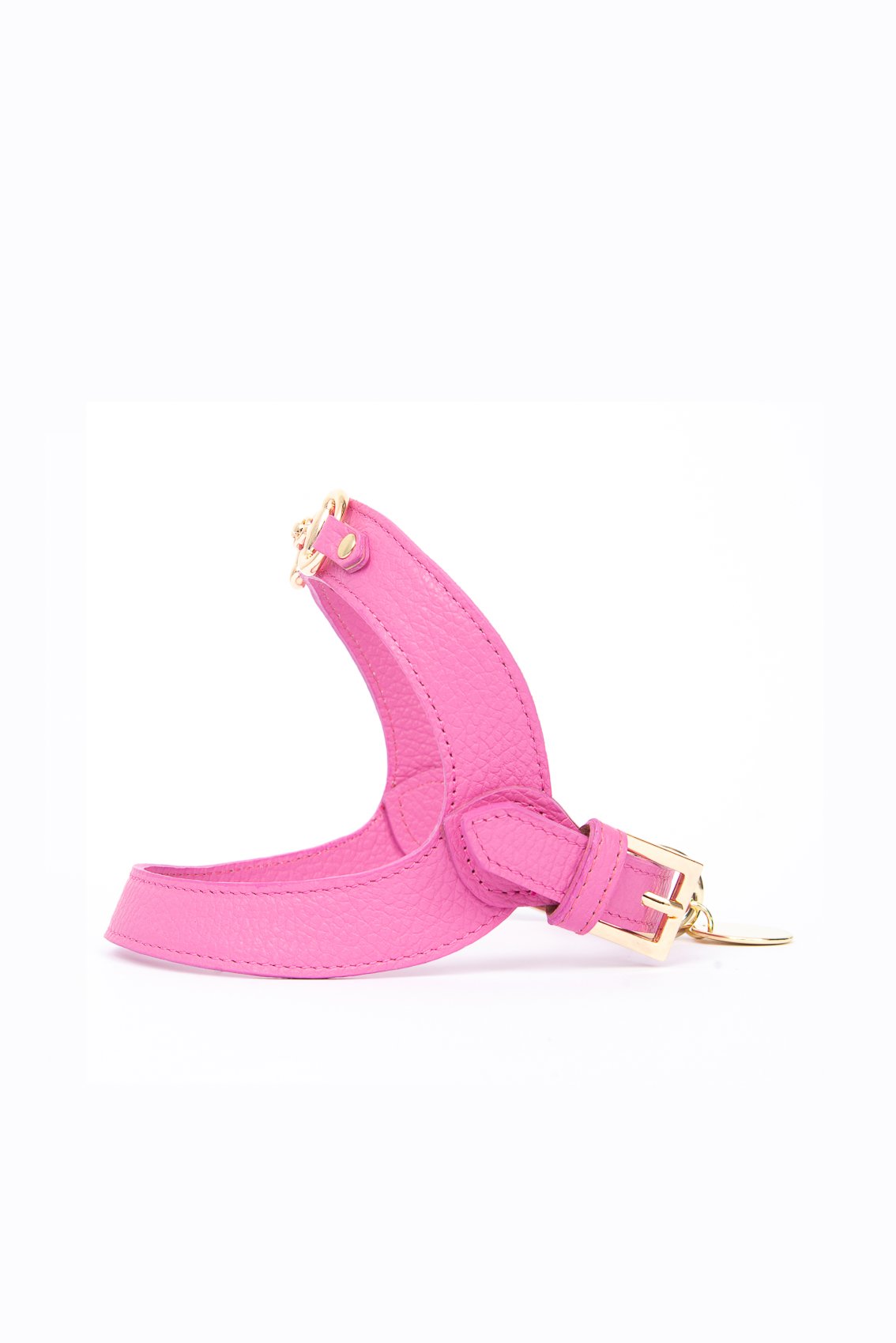 LEATHER HARNESS WITH GOLD CLAMP