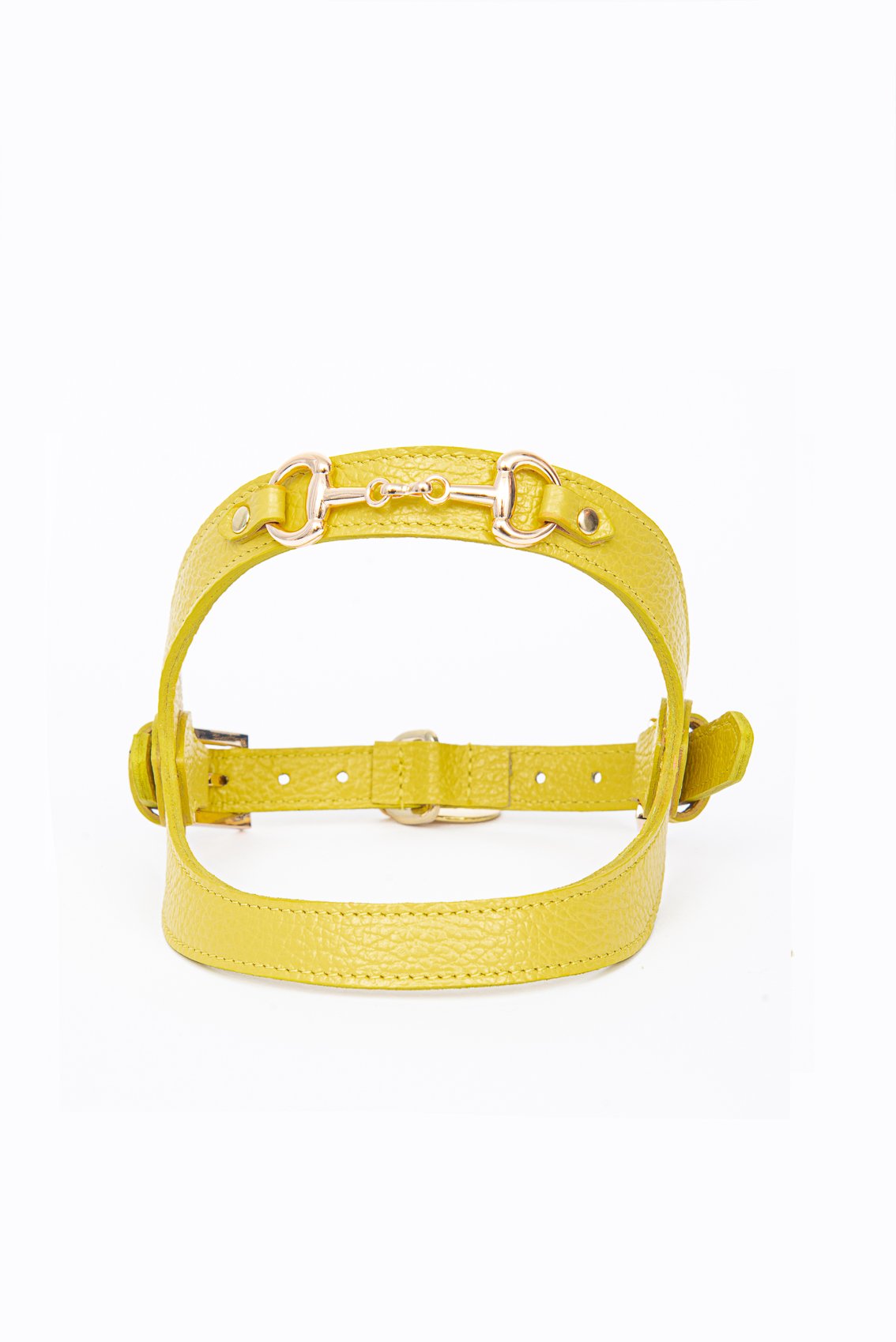 LEATHER HARNESS WITH GOLD CLAMP