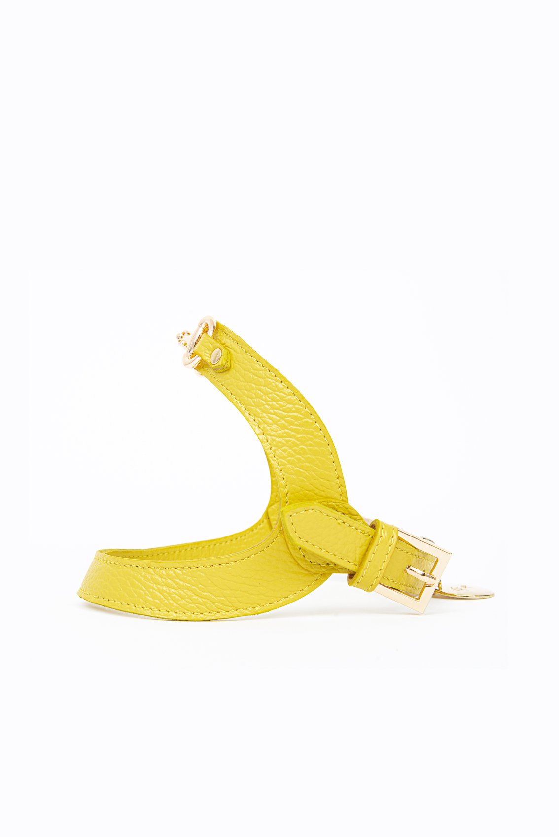 LEATHER HARNESS WITH GOLD CLAMP