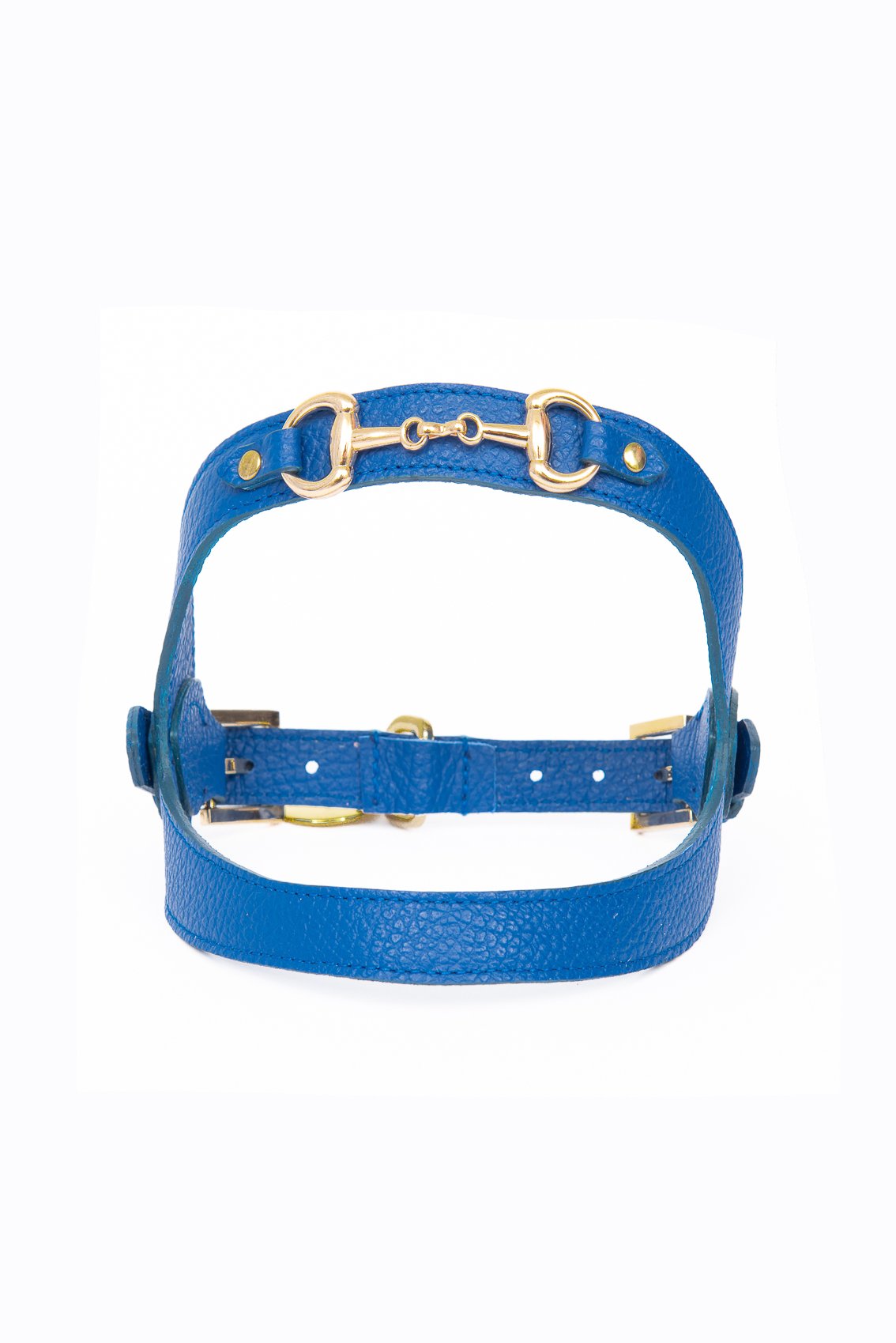 LEATHER HARNESS WITH GOLD CLAMP