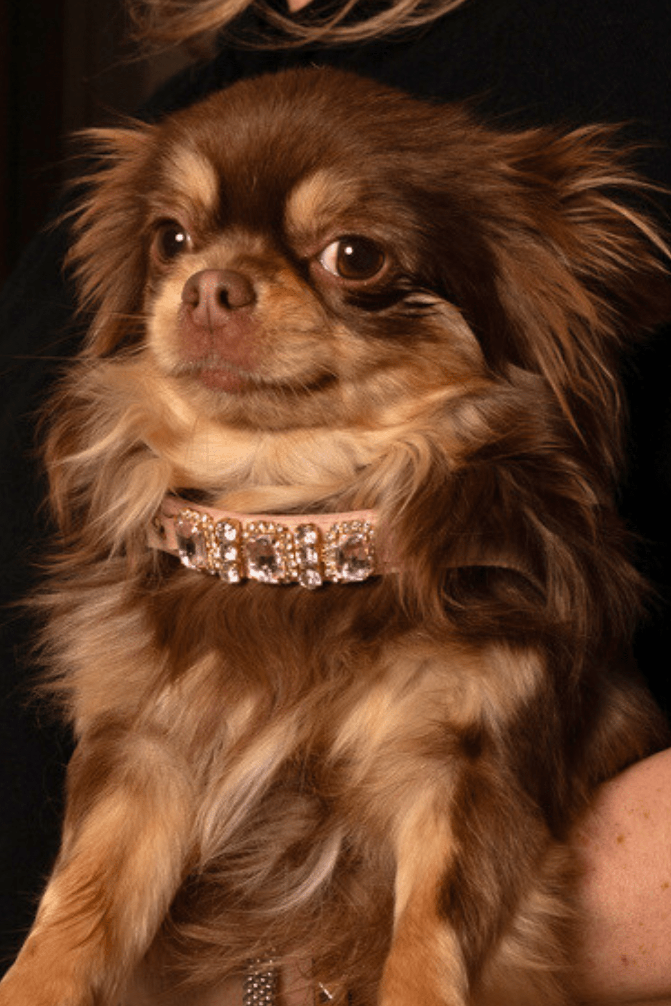 PETTORINA IN PELLE GINEVRA