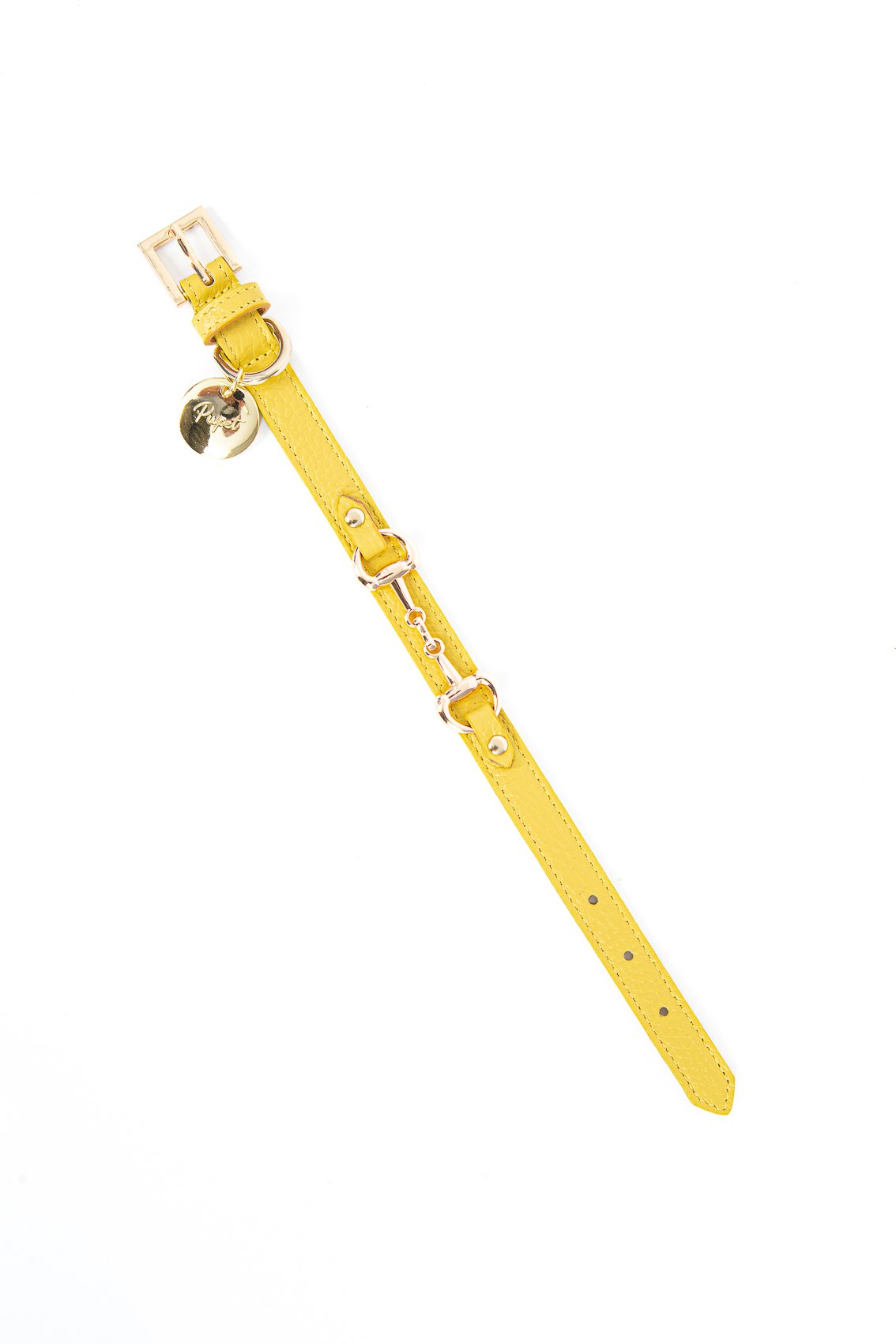 LEATHER COLLAR WITH GOLD CLAMP