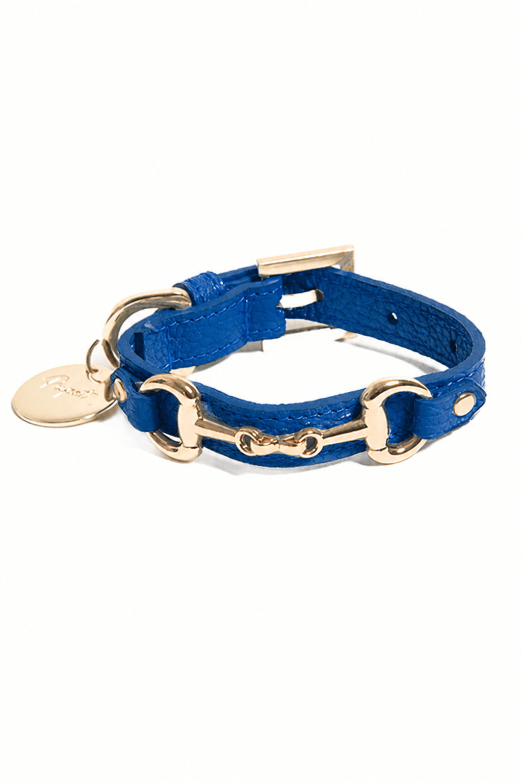 COLLARE IN PELLE CON MORSETTO ORO