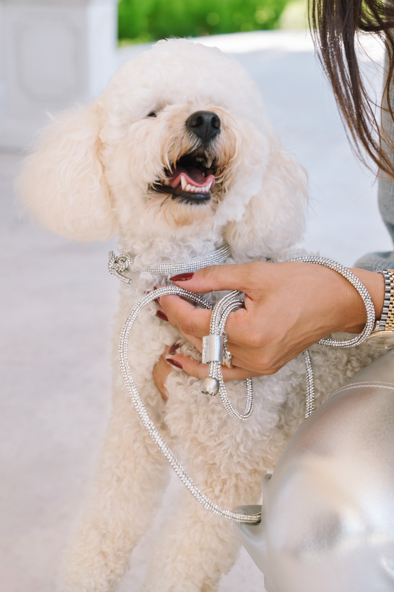JEWEL LEASH