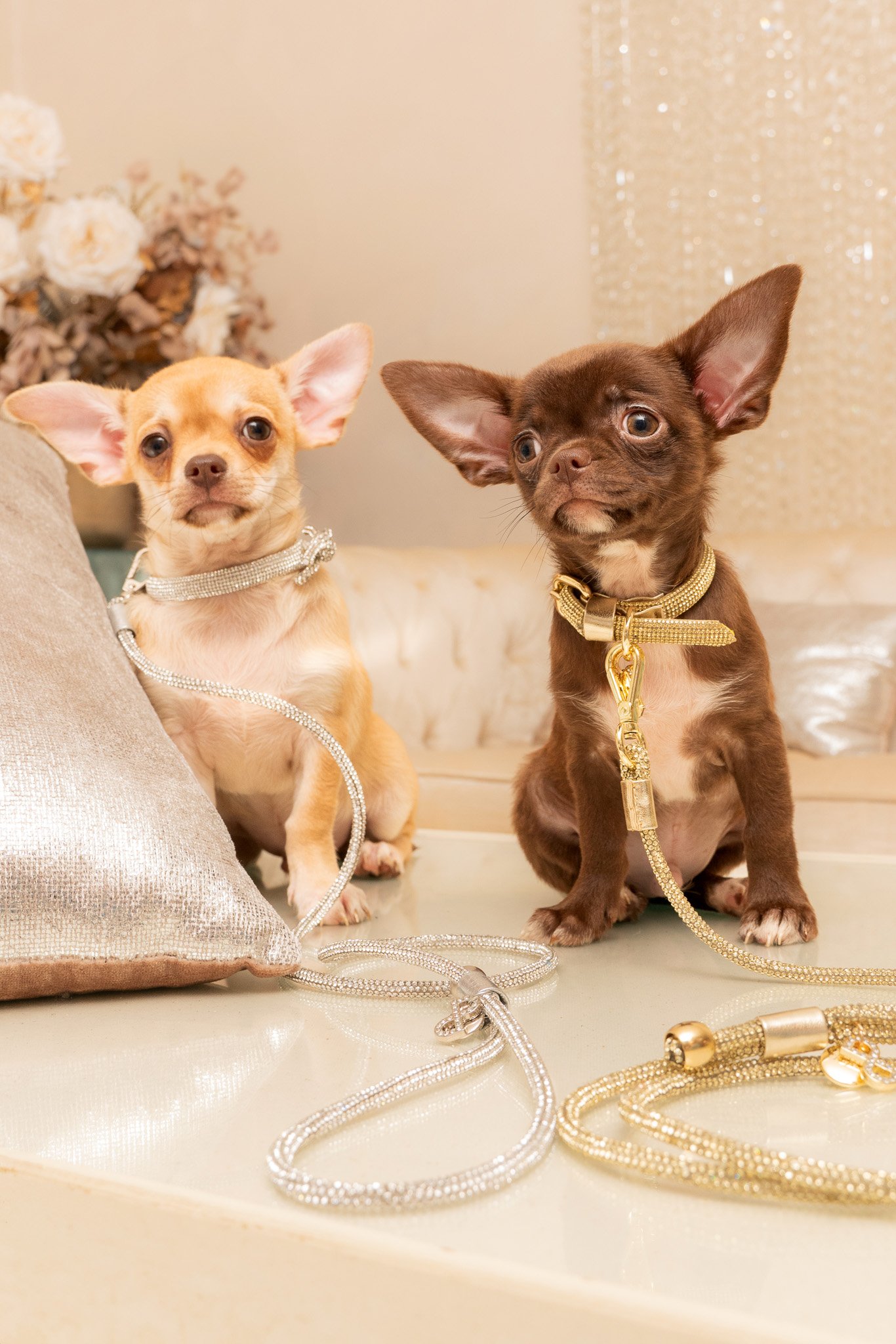 JEWEL LEASH