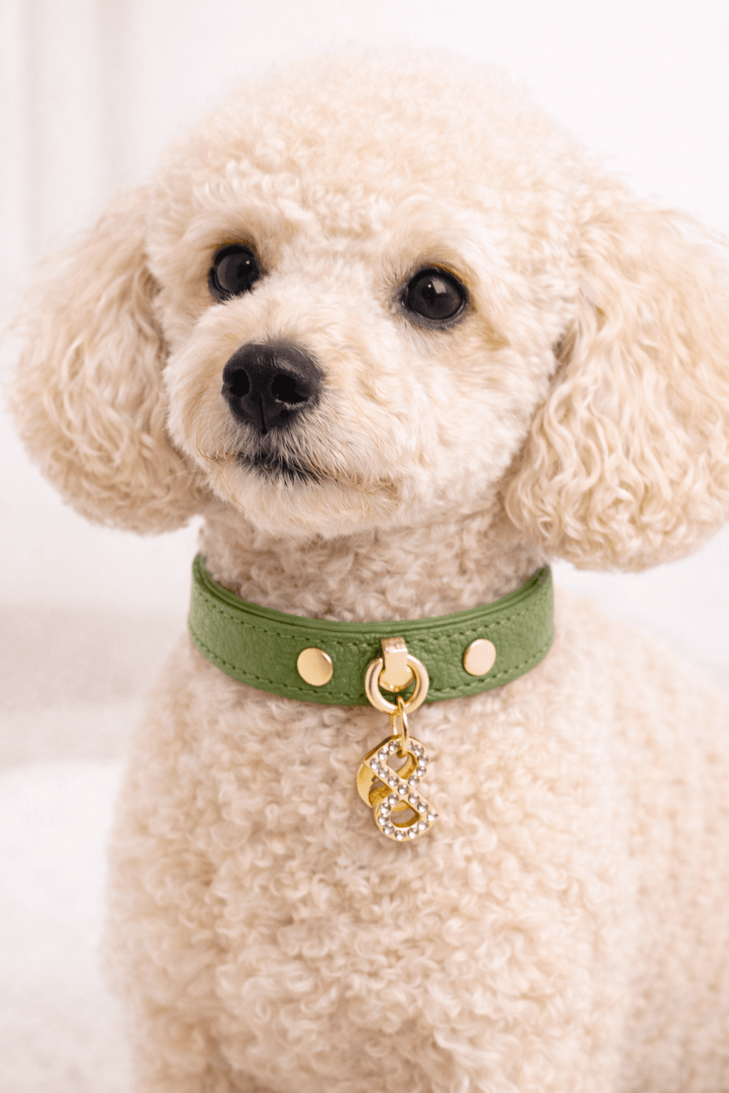 COLLARE IN PELLE AURORA