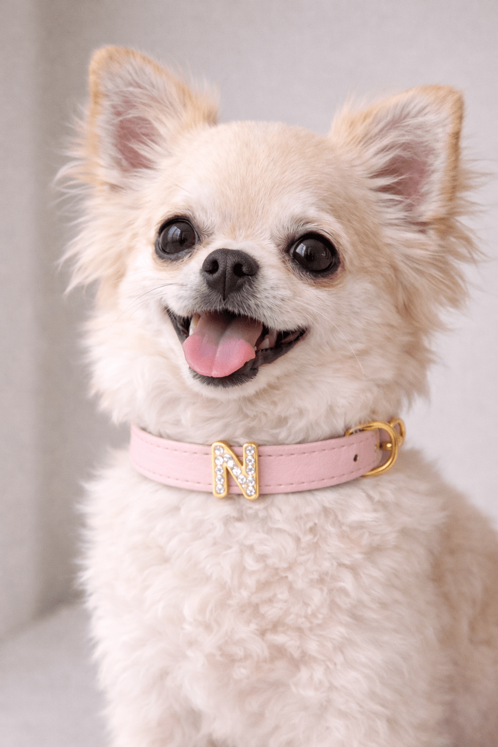 COLLARE MY NAME (solo collare, lettere escluse)