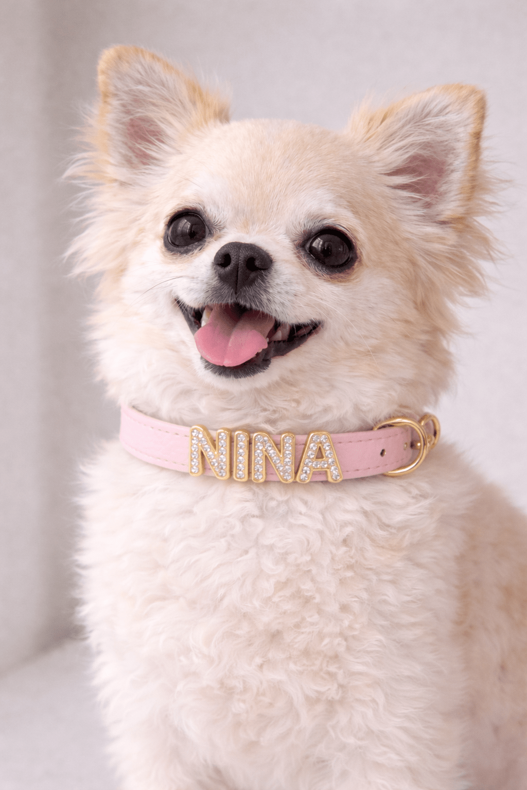 COLLARE MY NAME (solo collare, lettere escluse)