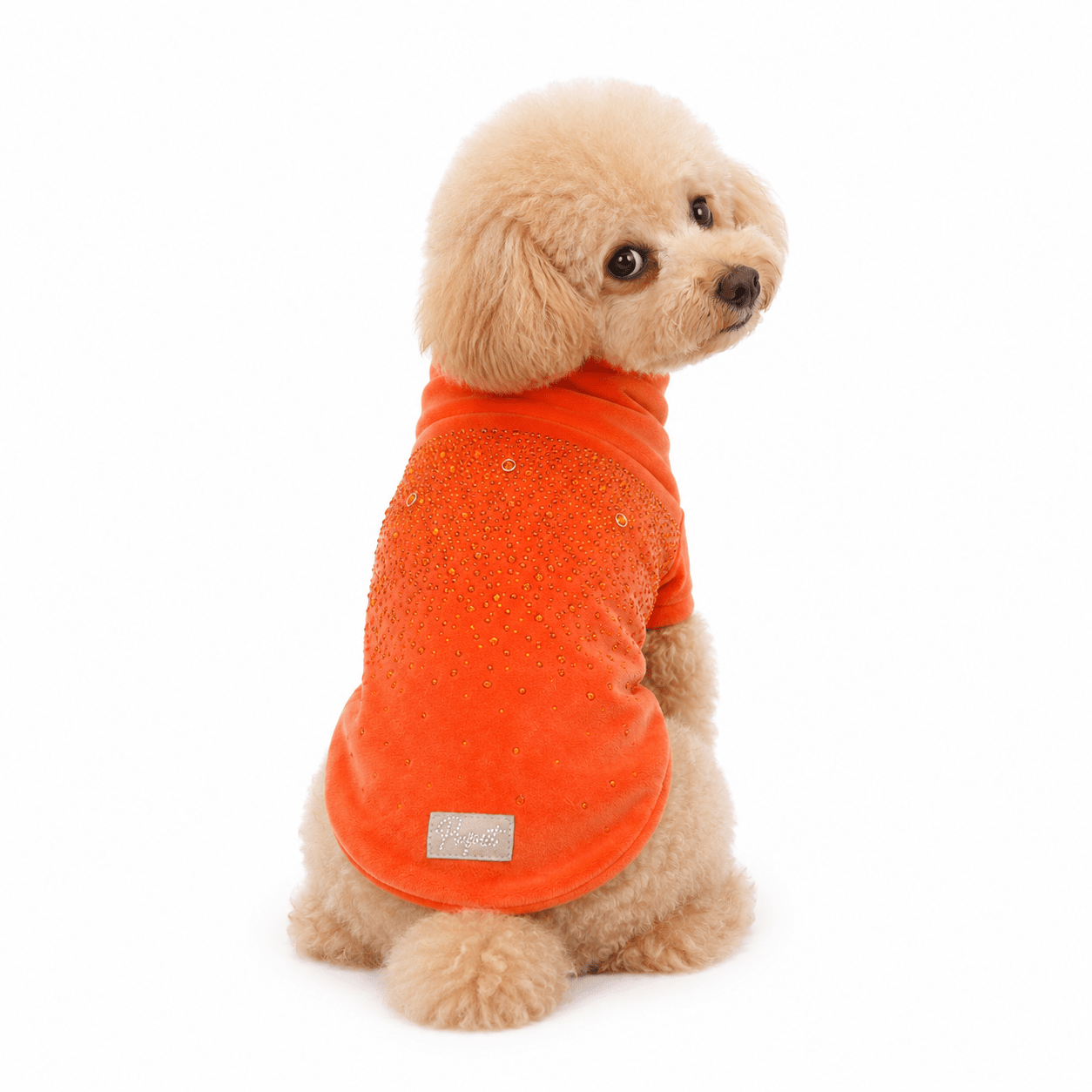CHENILLE TONE STRASS SWEATER