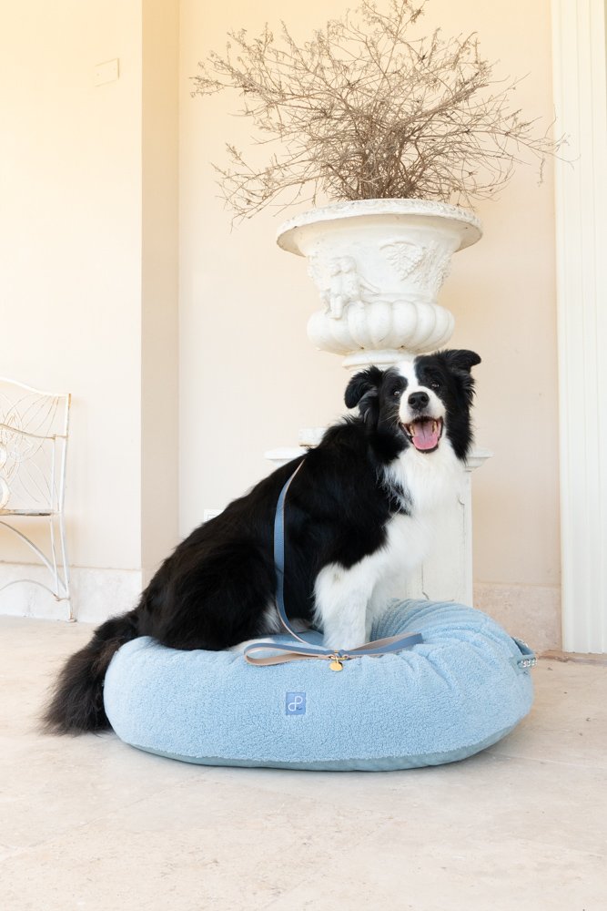 CURLY DOG BED