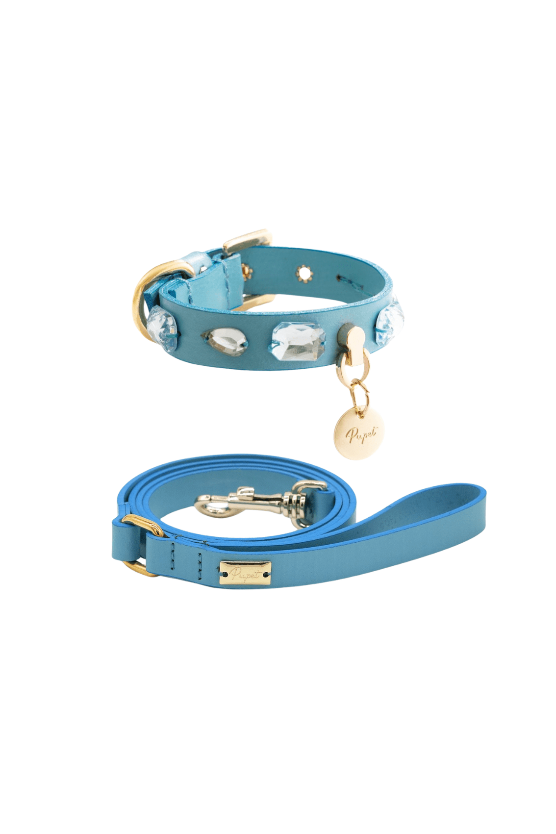 JEWEL STONE COLLAR + LEATHER LEASH COMBO