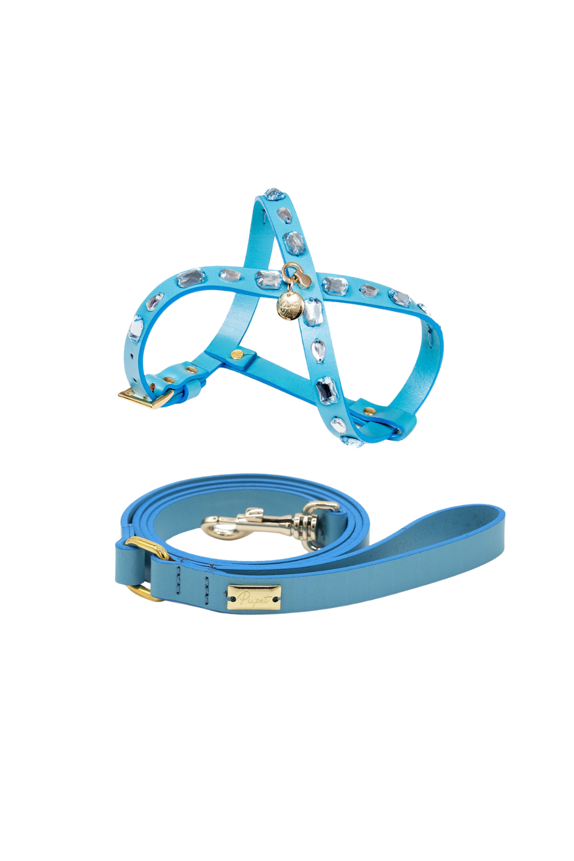 HARNESS WITH STONES + LEATHER LEASH COMBO