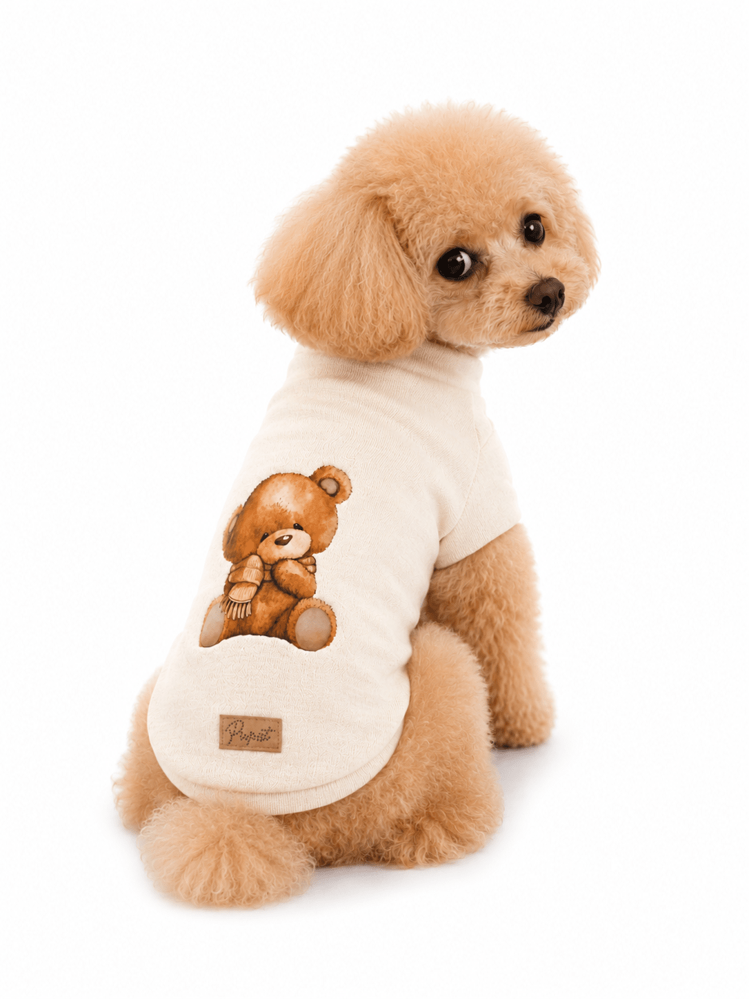 MAGLIONCINO COCCOLINO SWEATER