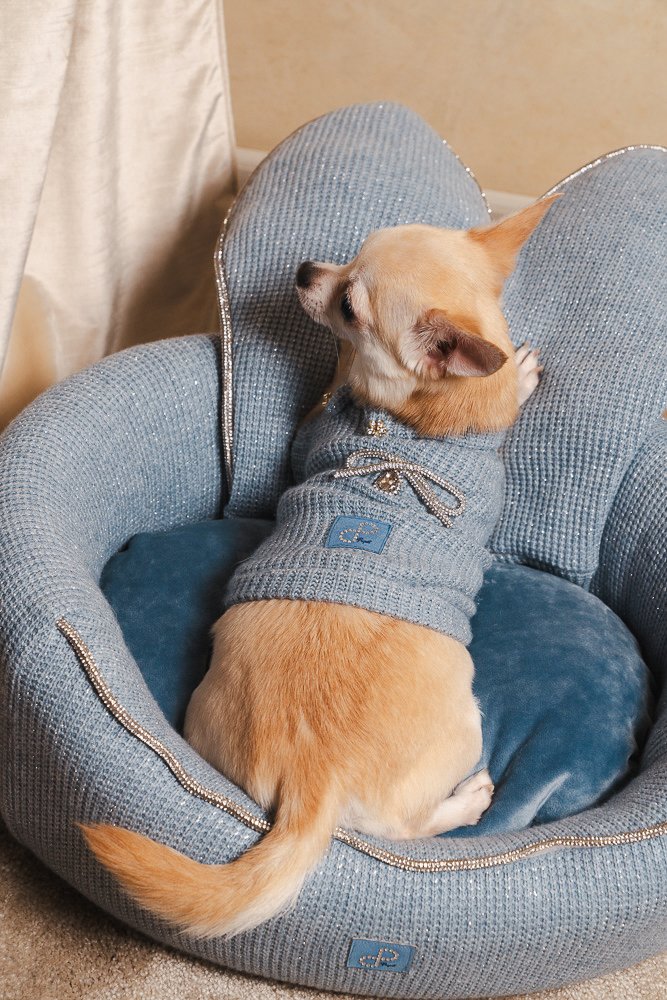 CUCCIA PER CANI E GATTI IN MAGLIA CON ORECCHIE DA CONIGLIO