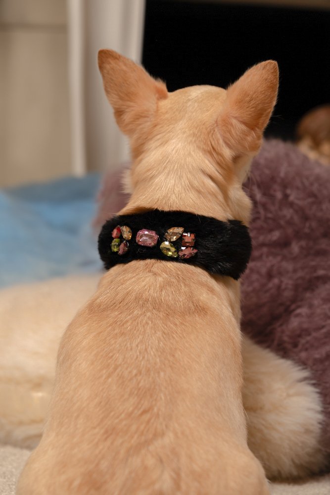 Collare Cane In Pelle Regolabile | Cucito A Mano | Comfortevole | Impermeabile | Taglie S-M-L-XL - Foto 4