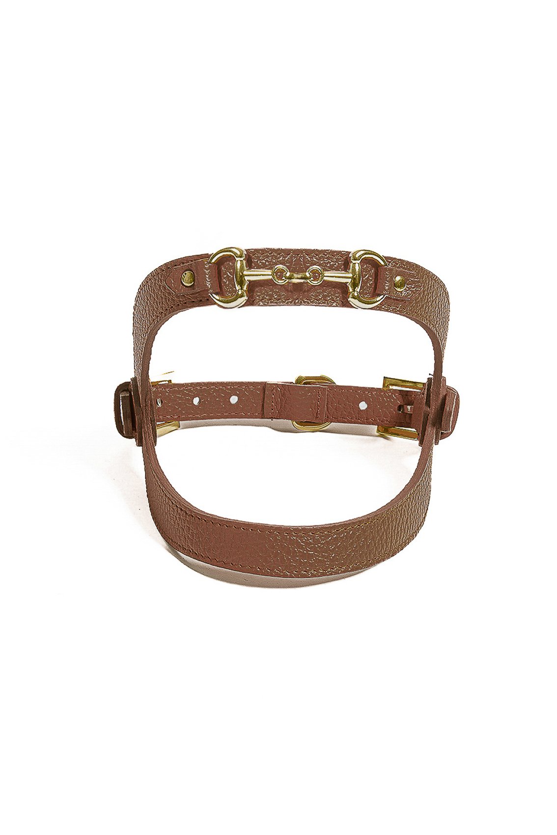 LEATHER HARNESS WITH GOLD CLAMP